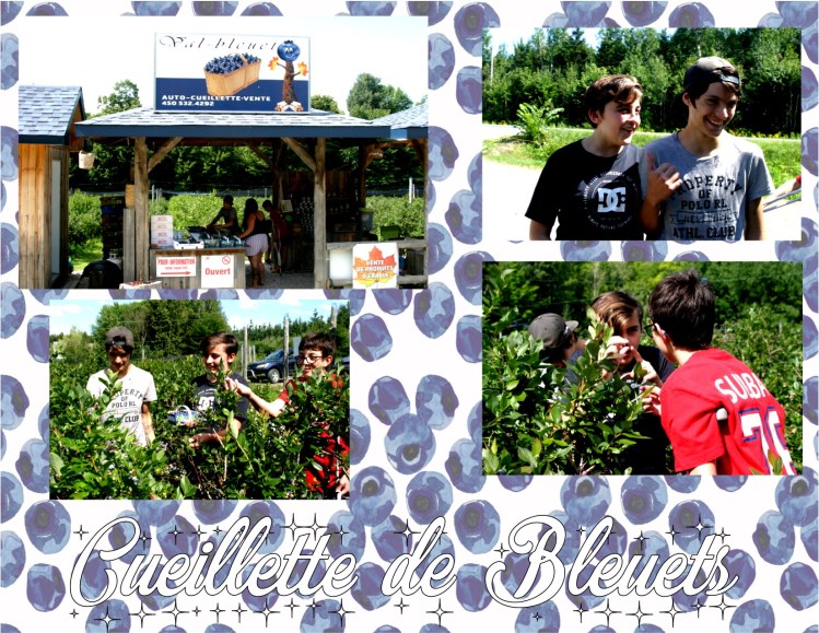 Cueillette de bleuets.jpg